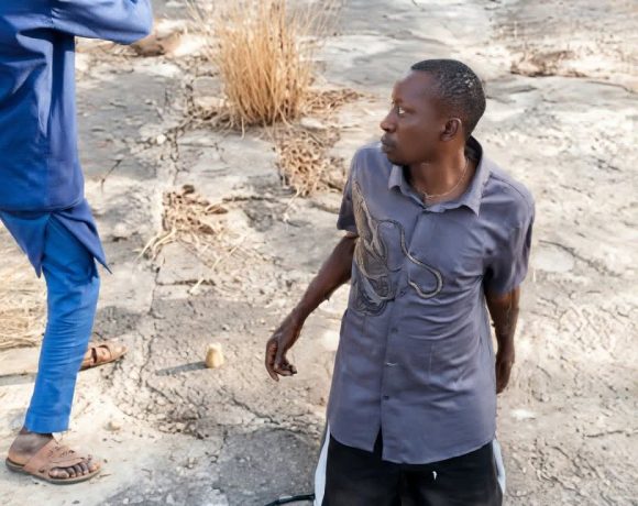 afrik 24