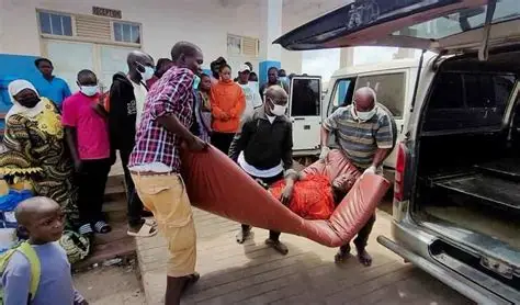 afrik 24