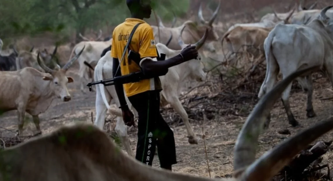 afrik 24