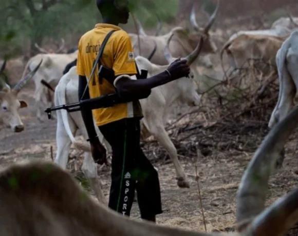 afrik 24