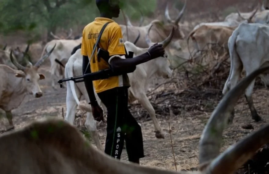 afrik 24