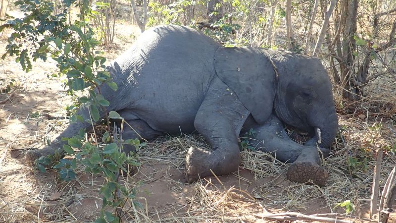 Afrik24 Kenya