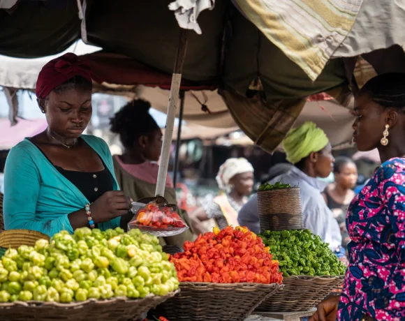 afrik24
