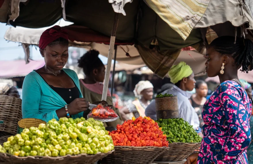 afrik24
